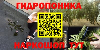 Альфа ПВП Будённовск