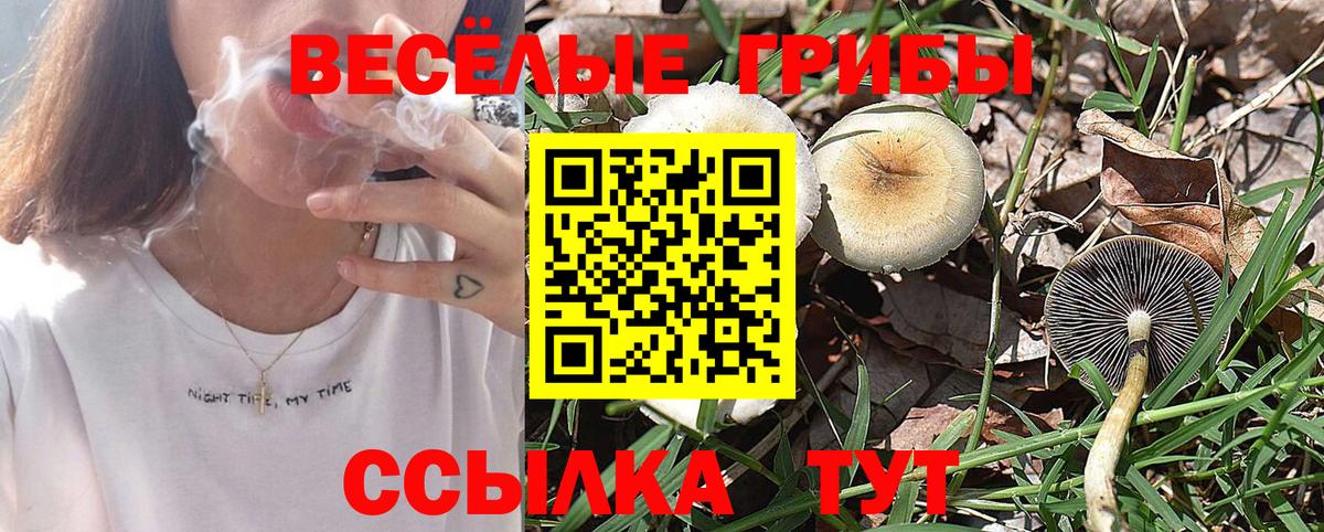 Псилоцибиновые грибы Psilocybe  Псилоцибиновые грибы GOLDEN TEACHER  Вход с VPN  Волхов 